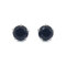 ブラックダイヤモンド ピアス ブラックダイヤモンド ピアス